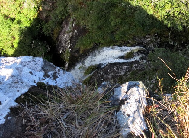 Scenic view of waterfall in forest