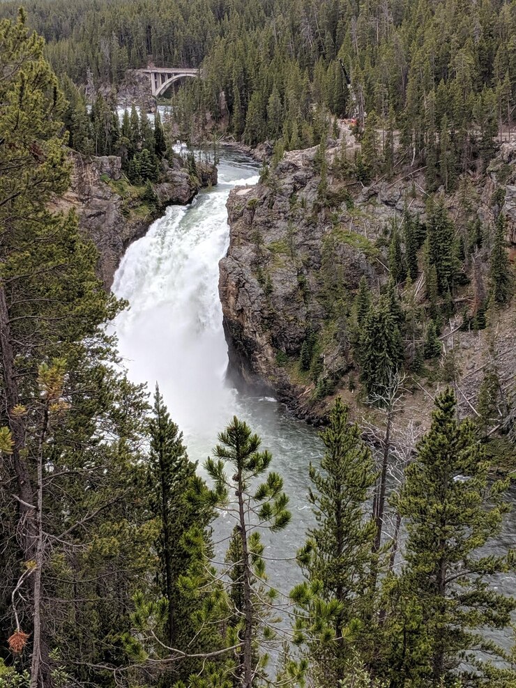 Photo scenic view of waterfall in forest
