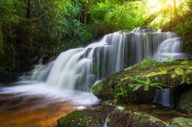 Scenic view of waterfall in forest