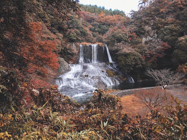 Photo scenic view of waterfall in forest