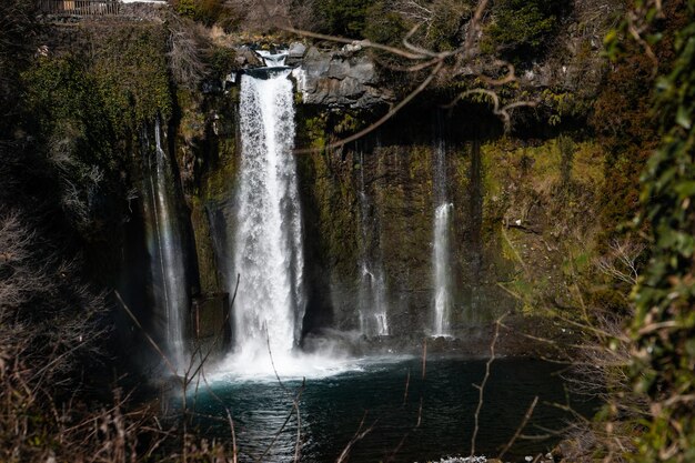 Photo scenic view of waterfall in forest