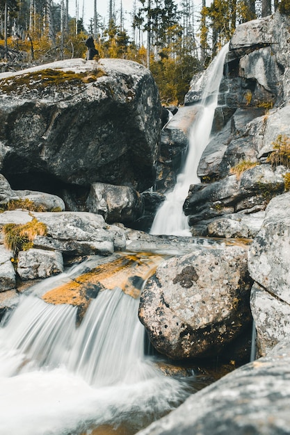 Photo scenic view of waterfall in forest