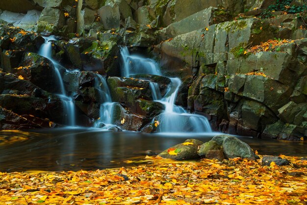 Scenic view of waterfall in forest