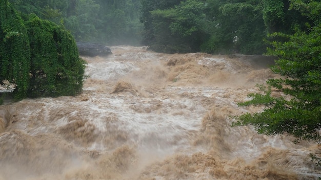 Сценический вид водопада в лесу