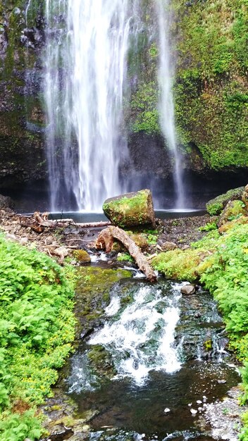 Foto la vista panoramica di una cascata nella foresta