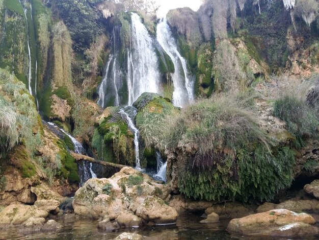 Scenic view of waterfall in forest