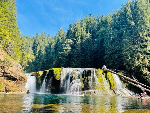 Photo scenic view of waterfall in forest