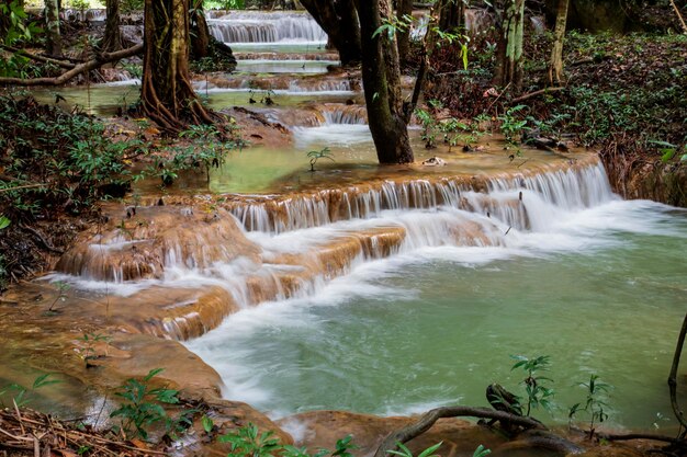 Scenic view of waterfall in forest