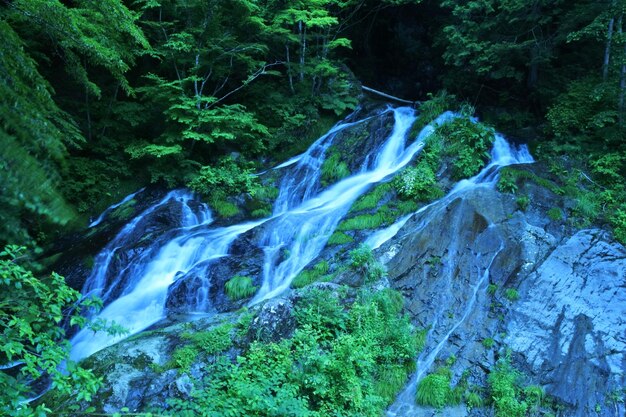 Photo scenic view of waterfall in forest