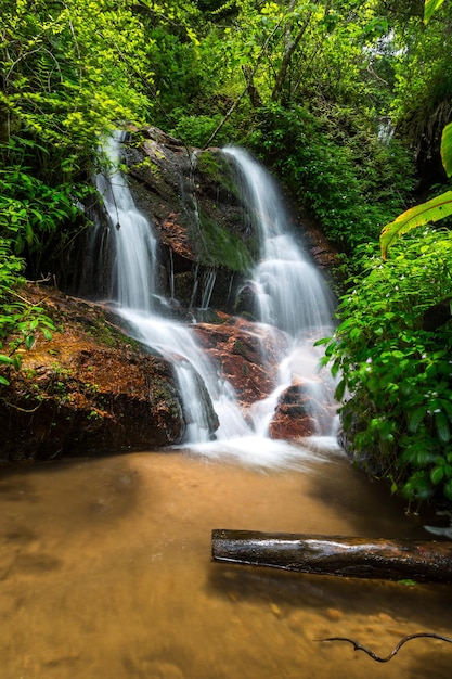 Photo scenic view of waterfall in forest