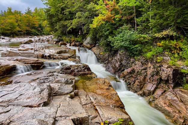 La vista panoramica di una cascata nella foresta