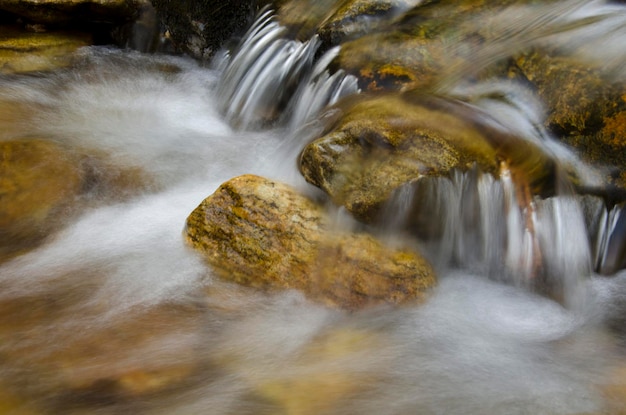 Photo scenic view of waterfall in forest