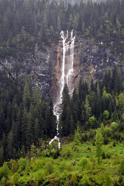 Photo scenic view of waterfall in forest