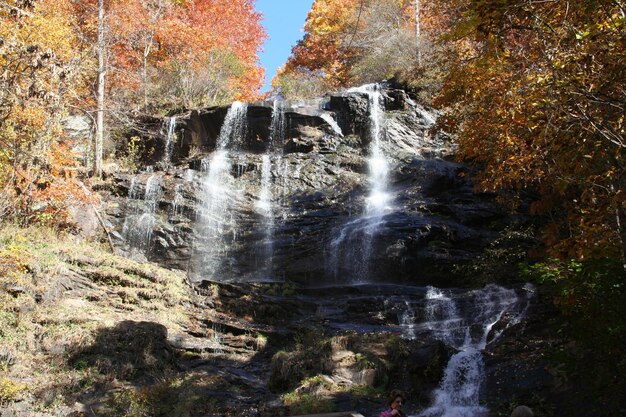 Foto la vista panoramica di una cascata nella foresta