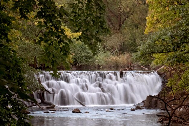 Scenic view of waterfall in forest