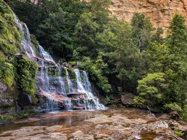 Foto vista panoramica di una cascata nella foresta