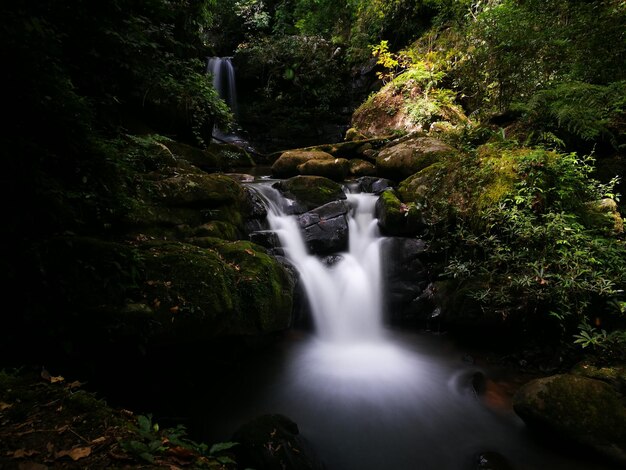 Scenic view of waterfall in forest