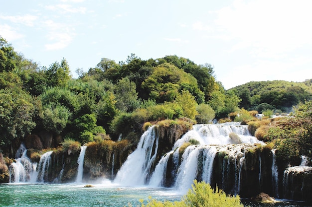 Photo scenic view of waterfall in forest