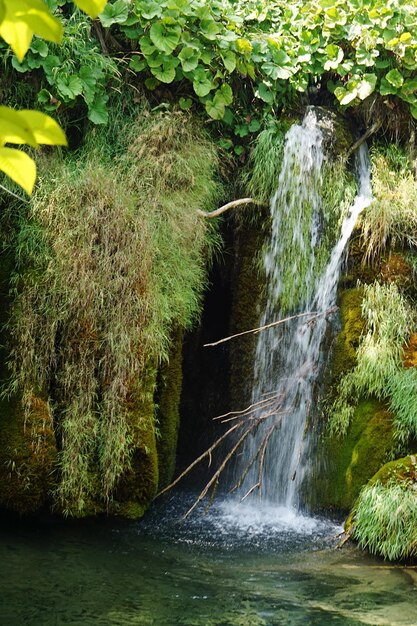 Photo scenic view of waterfall in forest