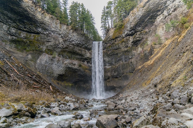 Foto la vista panoramica di una cascata nella foresta