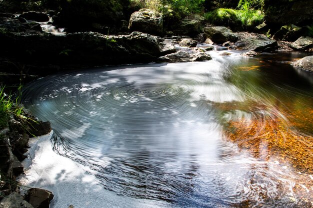 Scenic view of waterfall in forest