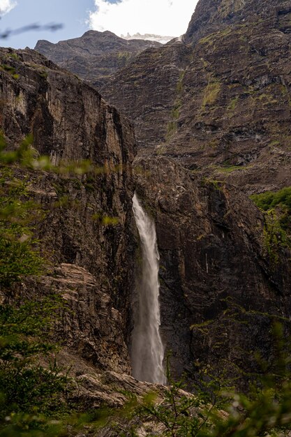 Foto la vista panoramica di una cascata nella foresta
