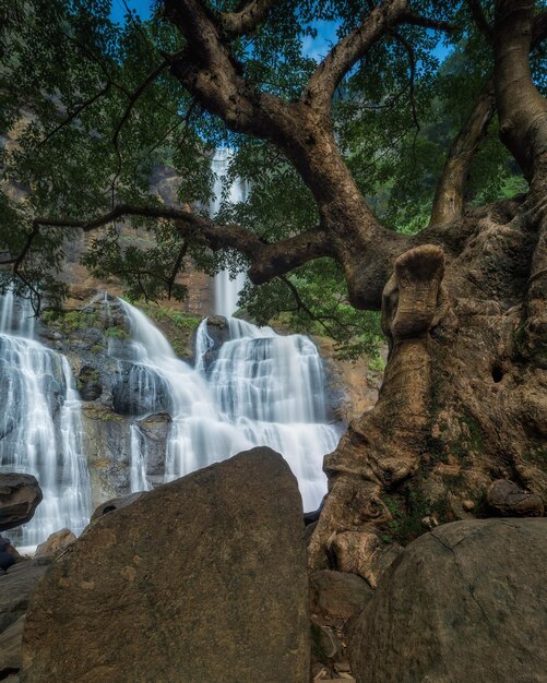 Photo scenic view of waterfall in forest