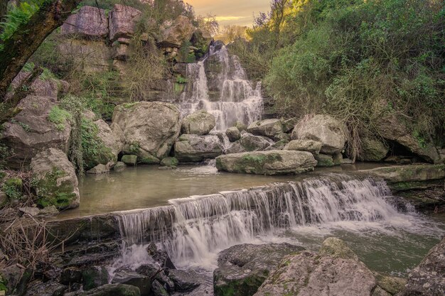 Scenic view of waterfall in forest