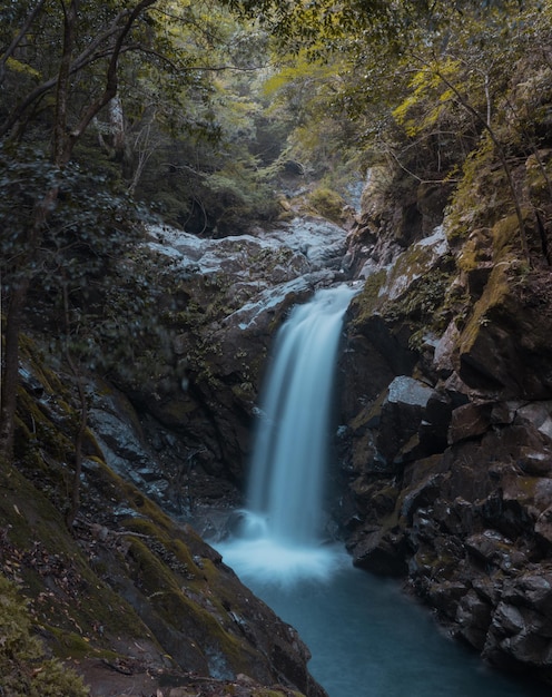 Photo scenic view of waterfall in forest