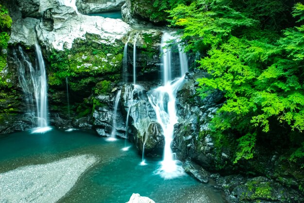 Foto la vista panoramica di una cascata nella foresta