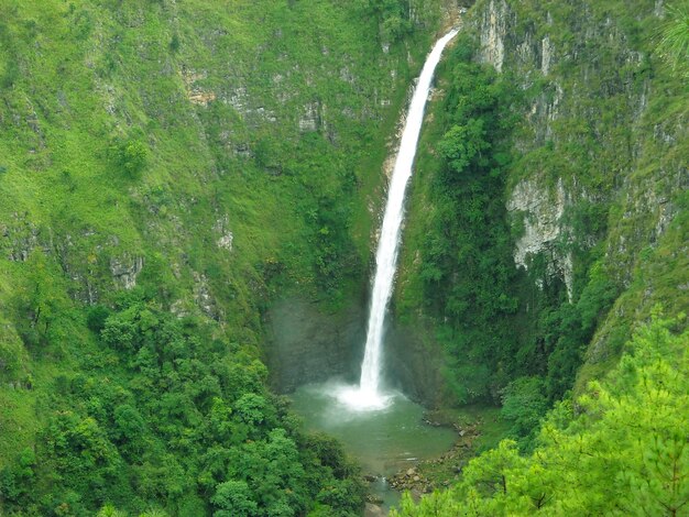 Scenic view of waterfall in forest