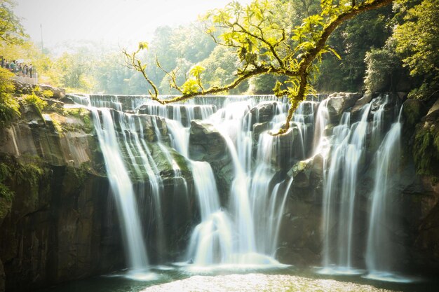 Photo scenic view of waterfall in forest