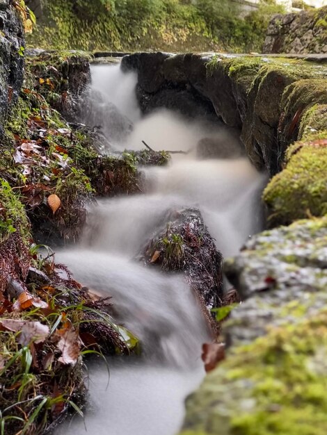 Foto la vista panoramica di una cascata nella foresta