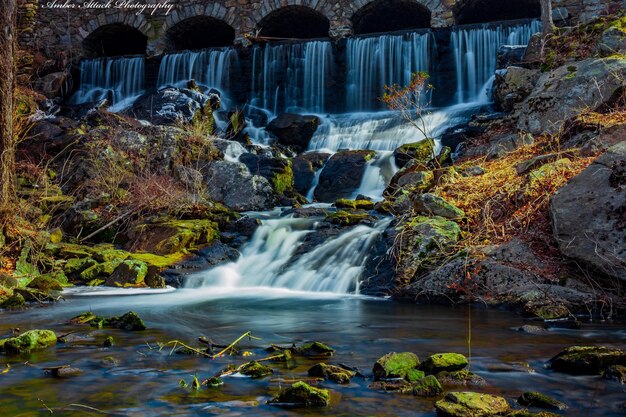 Photo scenic view of waterfall in forest