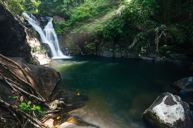 Scenic view of waterfall in forest