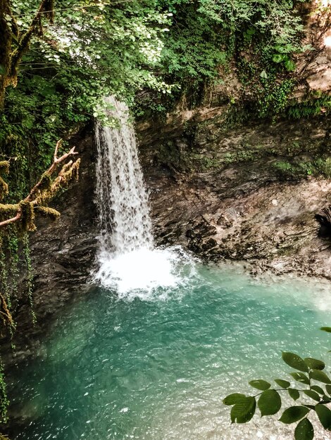 Scenic view of waterfall in forest