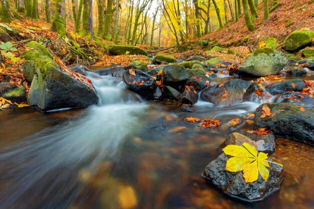 Photo scenic view of waterfall in forest