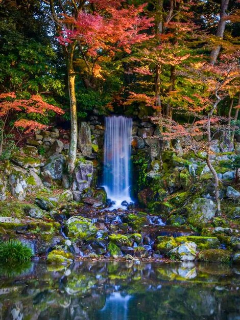 Foto vista panoramica di una cascata nella foresta