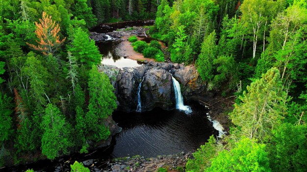 Foto la vista panoramica di una cascata nella foresta