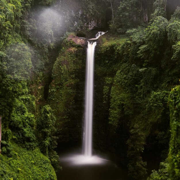 Foto la vista panoramica di una cascata nella foresta