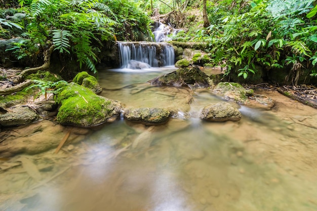 Photo scenic view of waterfall in forest