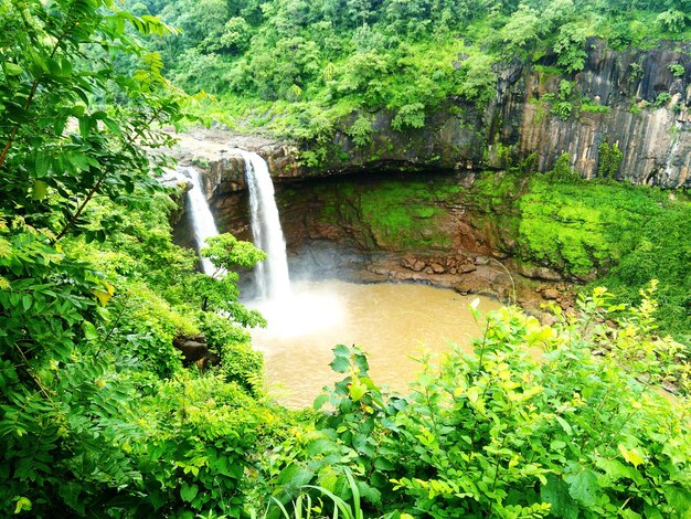 Scenic view of waterfall in forest