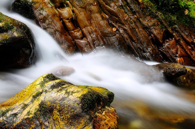 Photo scenic view of waterfall in forest