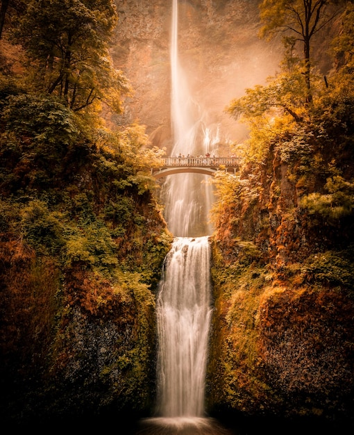 Photo scenic view of waterfall in forest