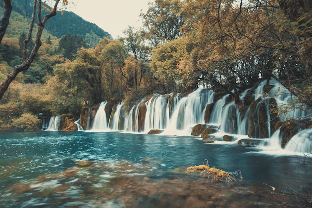 Сценический вид водопада в лесу