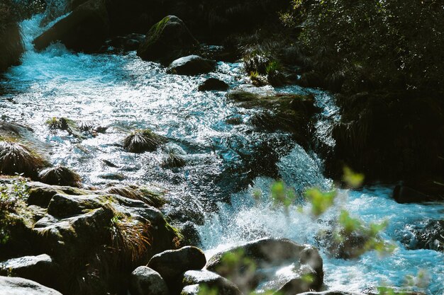 Photo scenic view of waterfall in forest