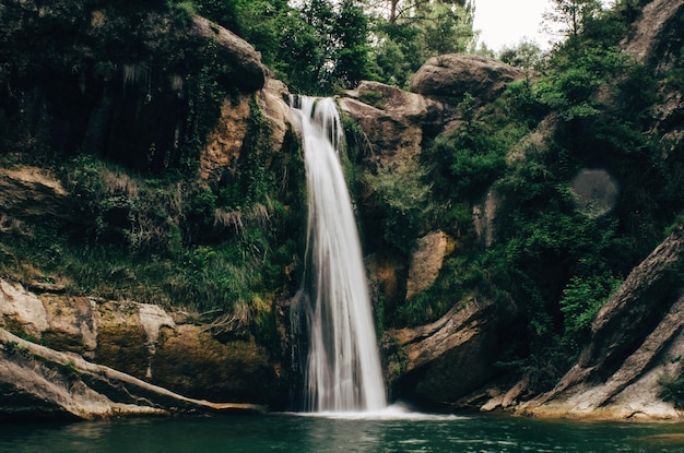 scenic view of waterfall in forest