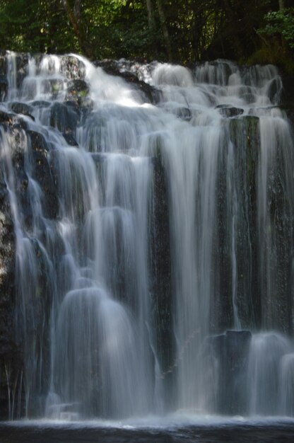 Photo scenic view of waterfall in forest