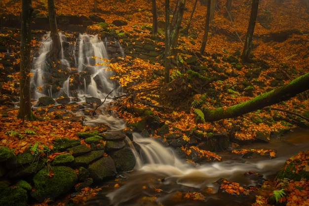 Foto la vista panoramica di una cascata nella foresta