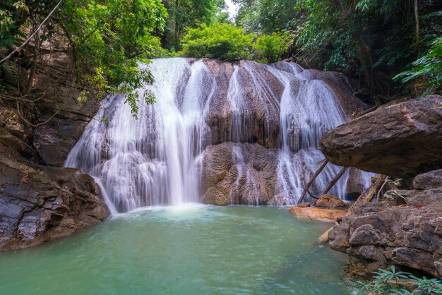 Scenic view of waterfall in forest